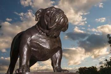 A bronze Bryant Bulldog statue.